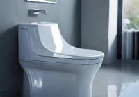 贝朗智能马桶全国维保中心详述♛松下智能马桶，冲洗屁股更舒适体验