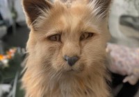 海尔滚筒洗衣机脱水功能：高效干衣，轻松告别潮湿