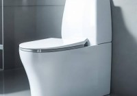 污水倒入智能马桶是否可行？