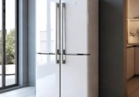 新飞冰箱395WKS：节能先锋，家用首选