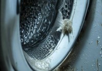 洗衣机清洁管用价格如何