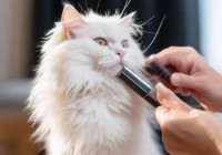 洗衣机清洗技巧揭秘：如何轻松去除衣物上的顽固白毛